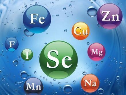 硒缺乏與機體氧化應激損傷有關