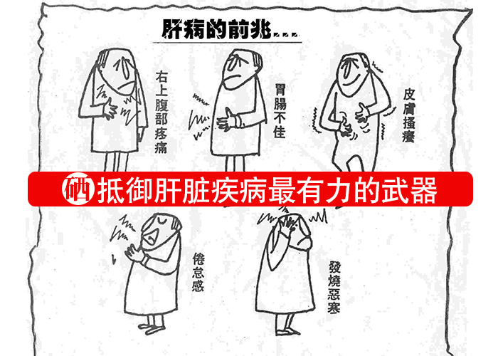 硒，抵御肝臟疾病最有力的武器