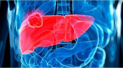 為什么養(yǎng)肝需要補硒？生活中如何保肝護肝？