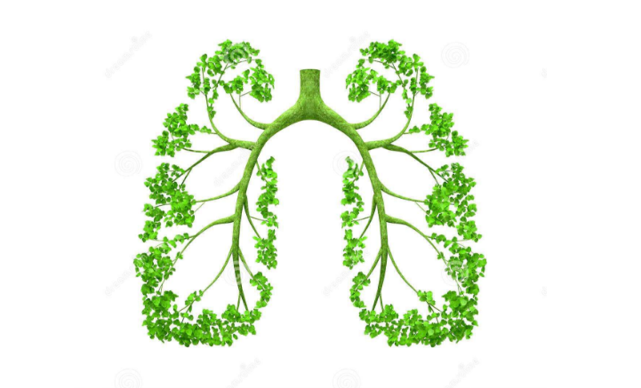 補(bǔ)硒科普：肺好百病消，秋季養(yǎng)肺謹(jǐn)記這幾點(diǎn)！