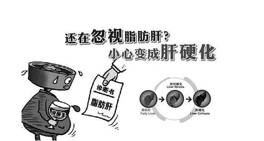  脂肪肝被稱為“隱蔽性肝硬化”，適當(dāng)補(bǔ)硒可降低危害性