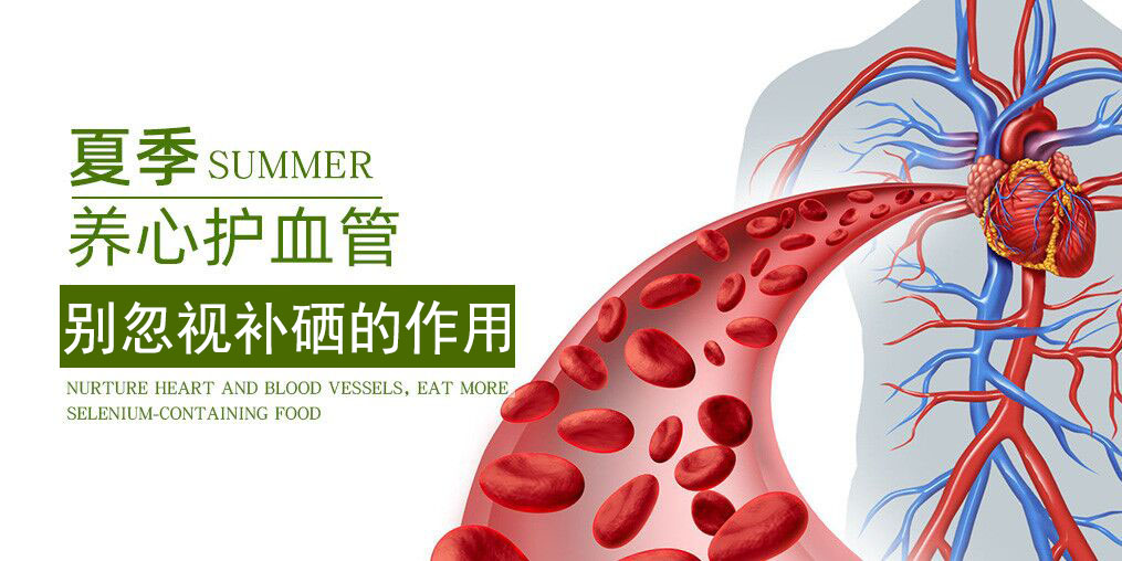 為什么說硒元素是“心臟的守護(hù)神”？