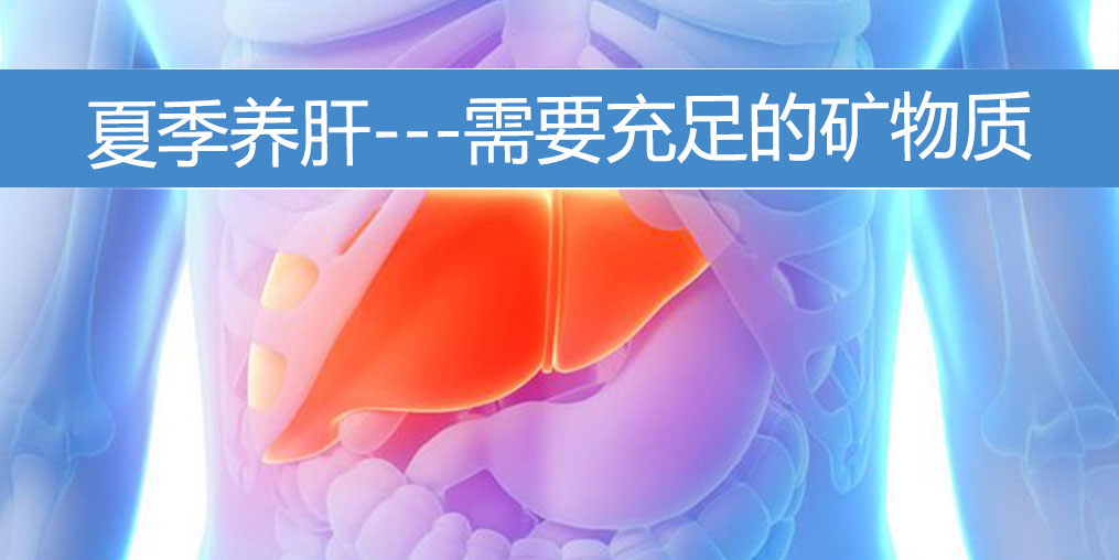 夏季養(yǎng)肝需要充足的礦物質(zhì)，保護(hù)肝功能
