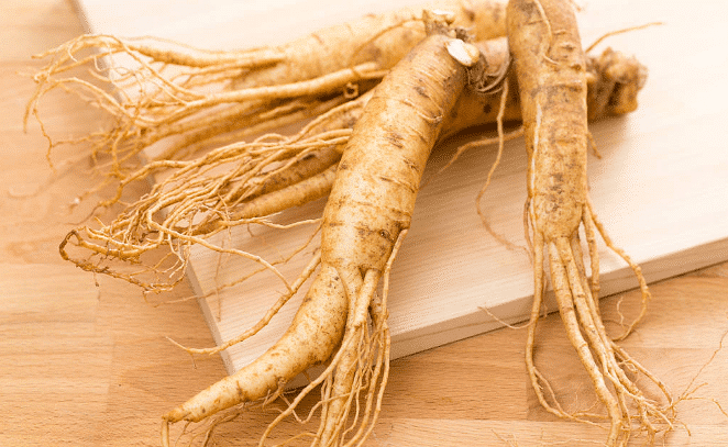 人參皂苷RH2在體外對黑色素瘤B16細胞具有分化誘導(dǎo)作用