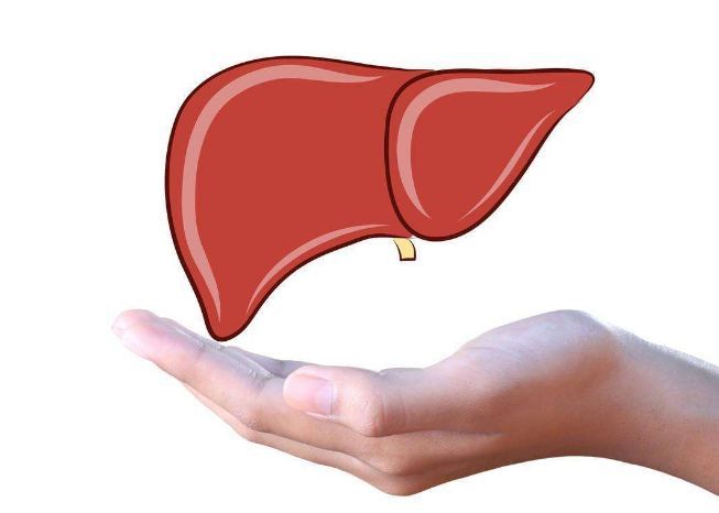 補硒鑄就肝臟四大防線，養(yǎng)肝護肝，快來補硒吧