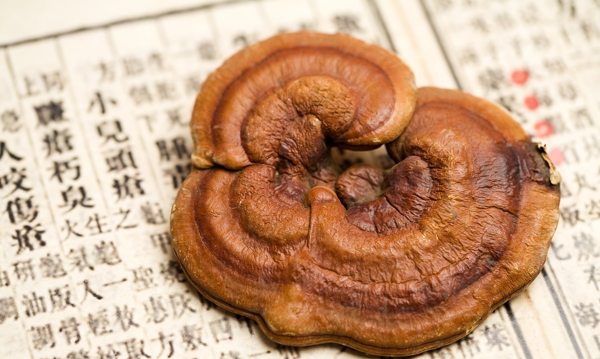 這幾種人服用靈芝，效果是這樣的