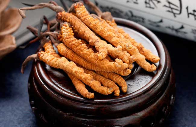 冬蟲夏草的營養(yǎng)成分有哪些？好在哪里