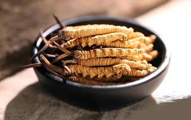 冬蟲(chóng)夏草為什么得到很多人的認(rèn)可？