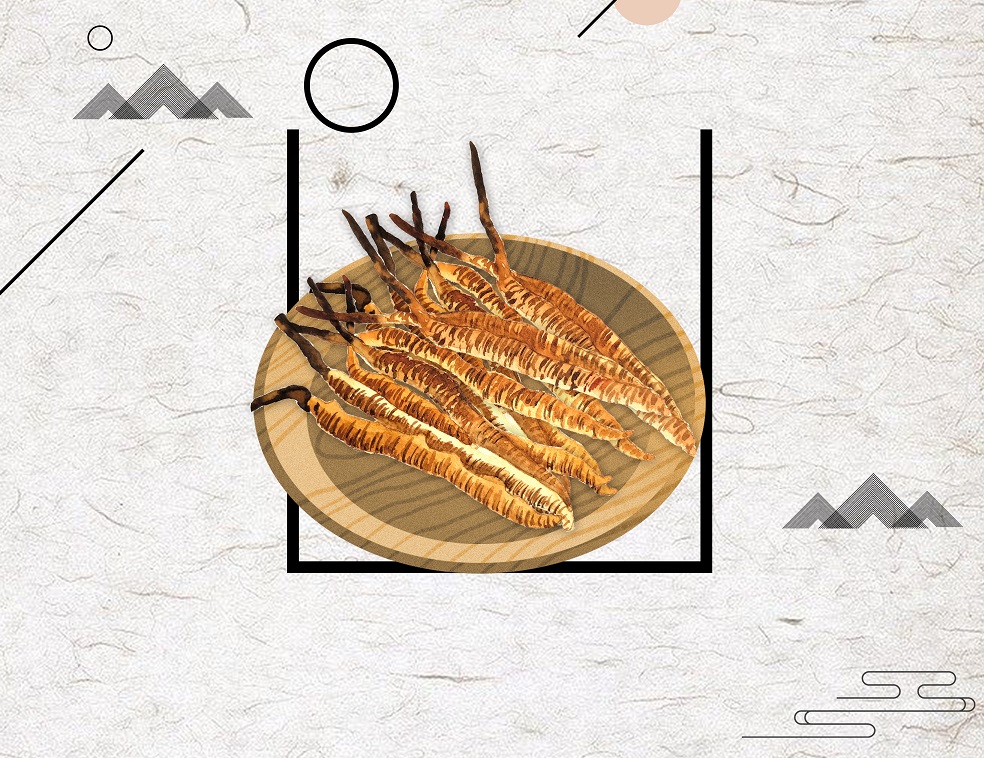 冬蟲(chóng)夏草術(shù)后滋補(bǔ)，一定要注意，小心適得其反