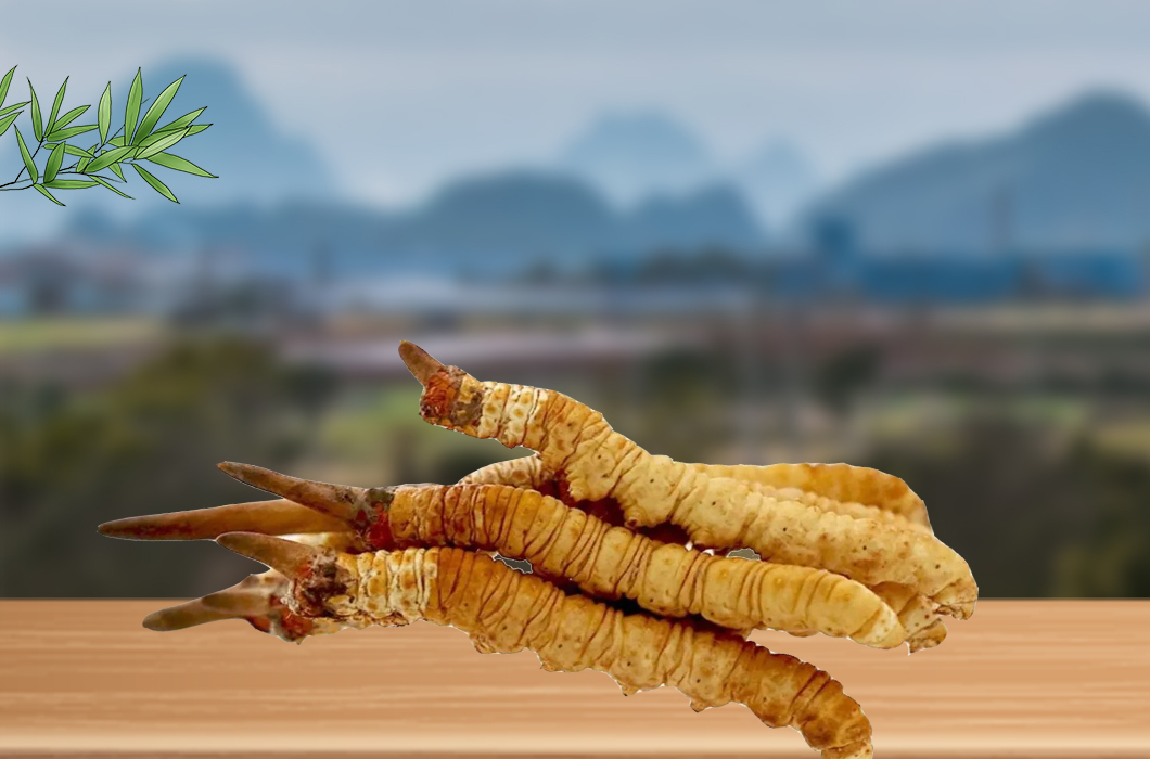 冬蟲夏草和腎病還有什么關系嗎？