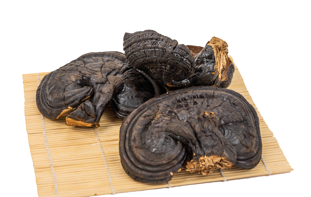 冬季養(yǎng)護腎臟更適宜吃靈芝孢子粉