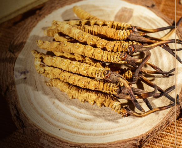 冬蟲夏草，給身上來個(gè)大掃除