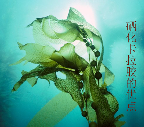 硒化卡拉膠作為有機(jī)硒的優(yōu)點(diǎn)在哪里？
