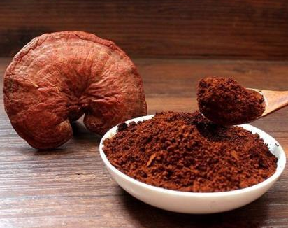 科普：靈芝的精華竟然是它？漲知識(shí)了