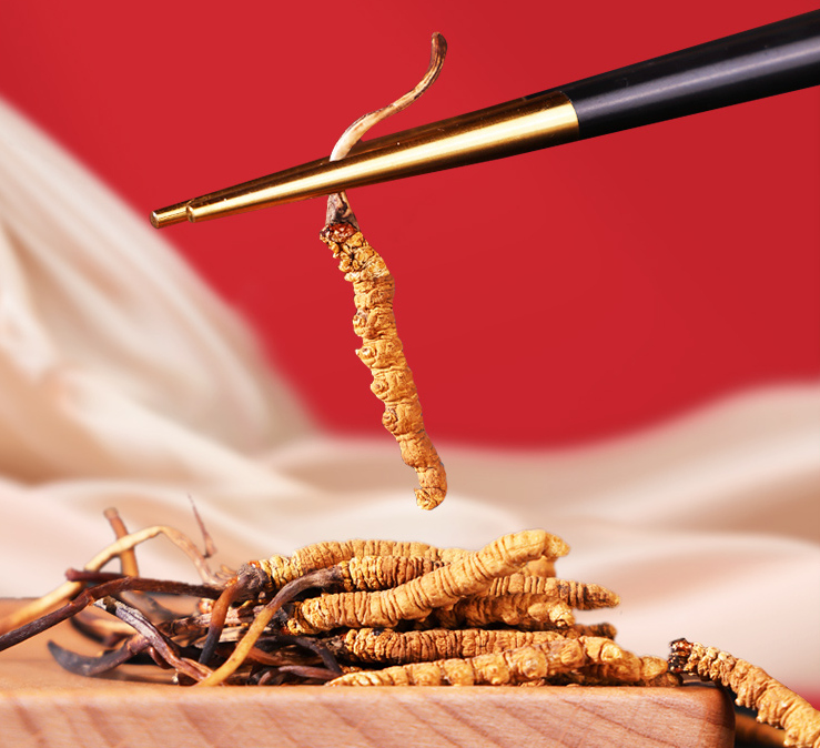 牢記3個食用冬蟲夏草的要點