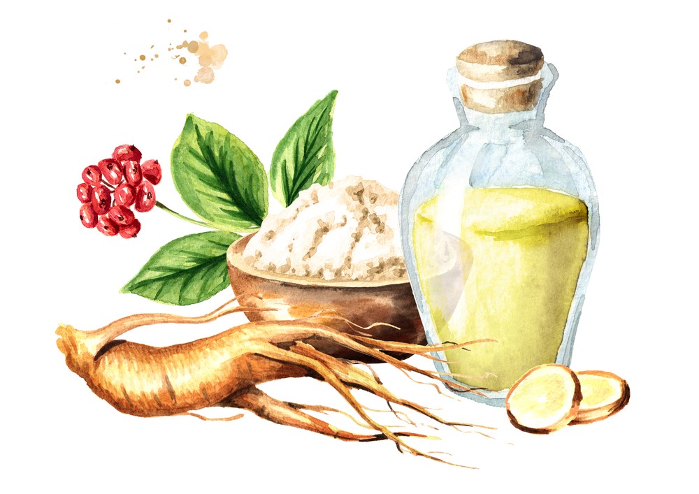 人參皂苷的主要成分有哪些？