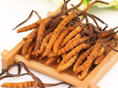 蟲草素？冬蟲夏草里的蟲草素是什么？