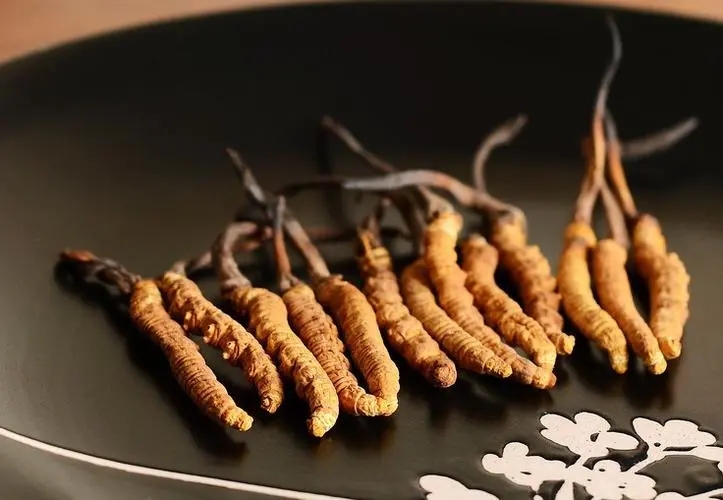 冬蟲夏草適合長(zhǎng)期食用嗎？