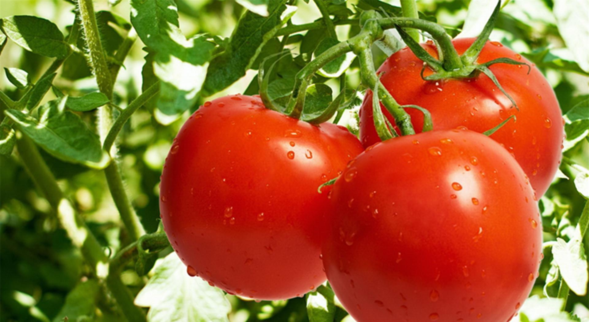 含有豐富的維生素和膳食纖維，但是這3類人一定要謹(jǐn)記少食