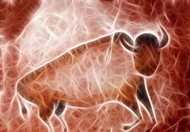 ?；撬岬降讓θ梭w神經(jīng)系統(tǒng)有什么好處？