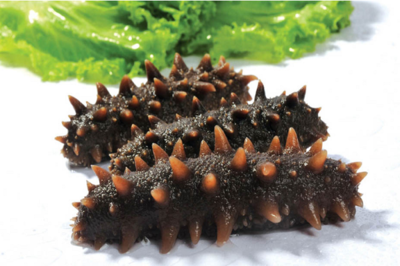 海參滋補，都有哪些對海參是禁忌？