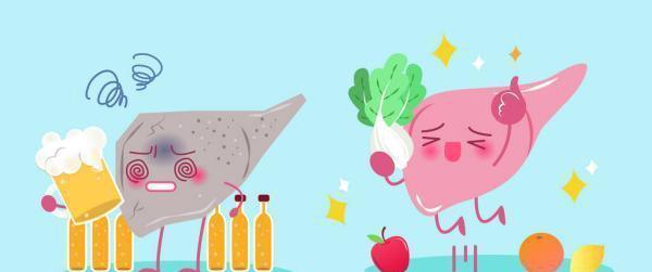 藥食同源的葛根，真的可以解酒保肝嗎？