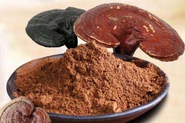 感冒能吃靈芝孢子粉嗎？不確定的人趕緊看看