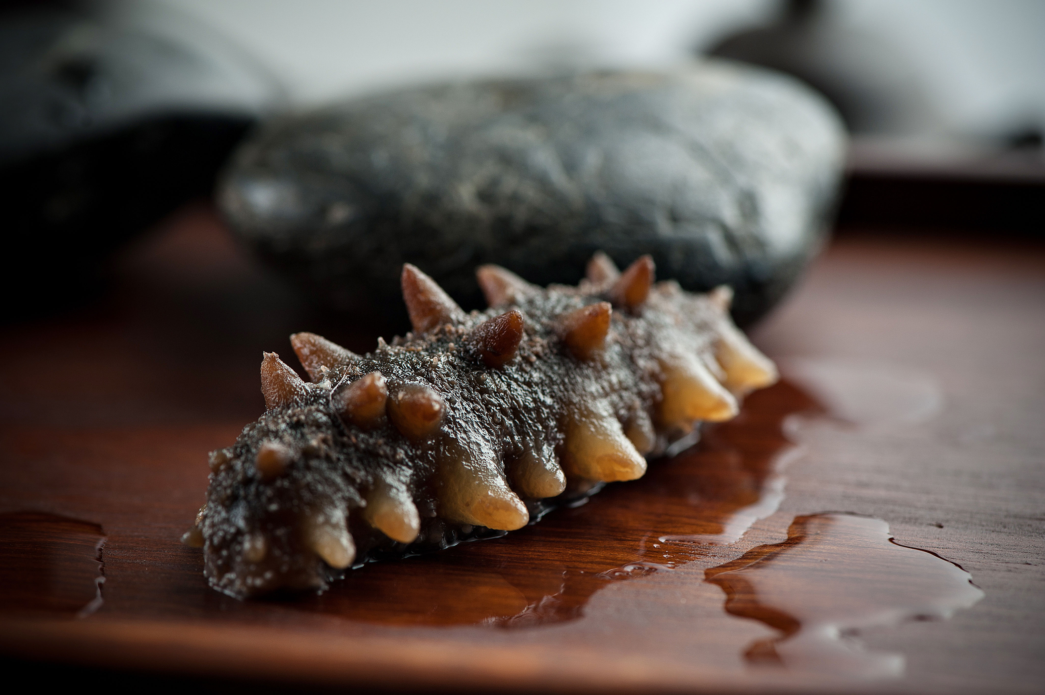 海參不僅僅是食材，中老年人吃海參的6大好處