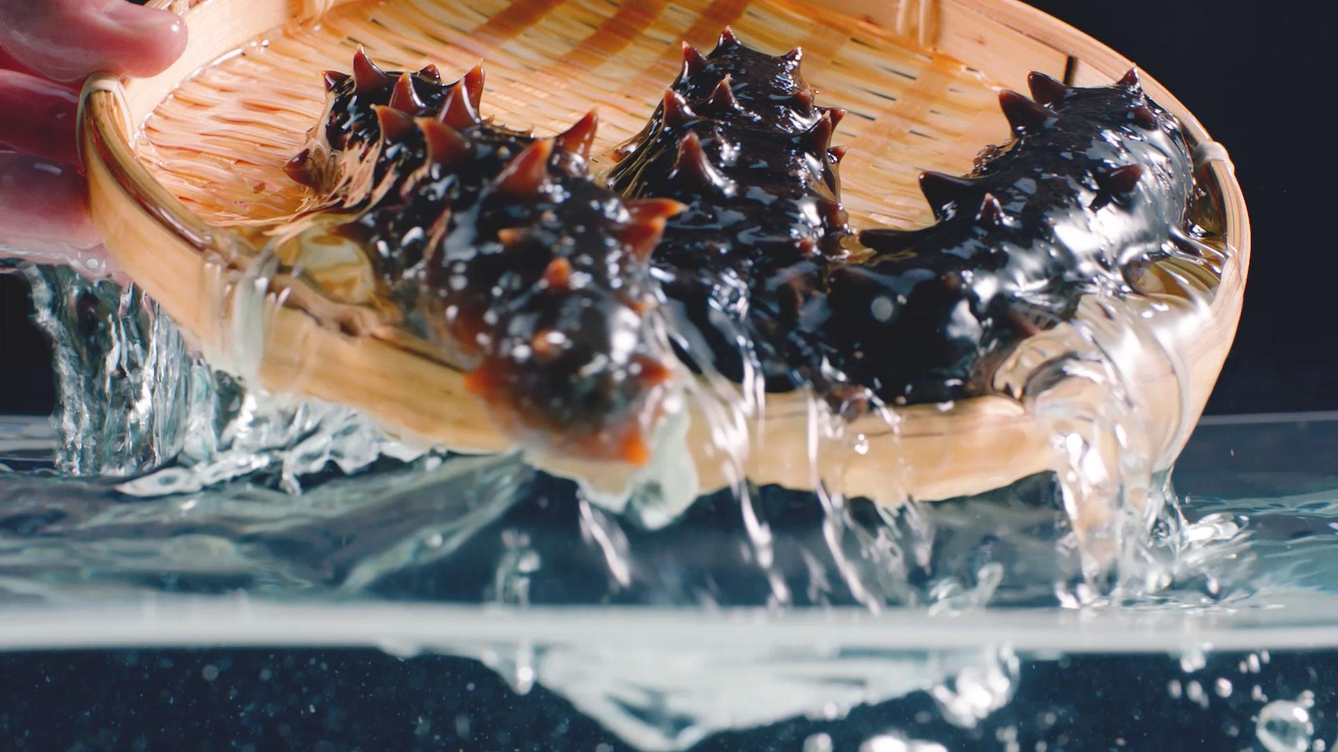 春天為什么要吃海參？