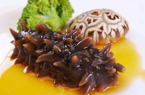 關于海參的冷知識，您知道嗎？