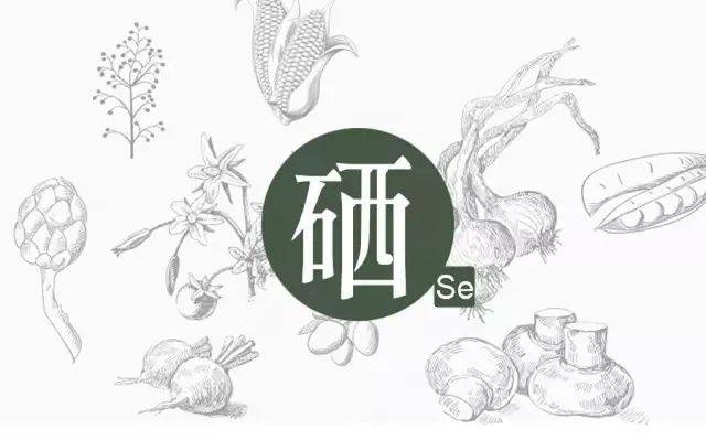 硒的幾種分類(lèi)，你補(bǔ)對(duì)了嗎？