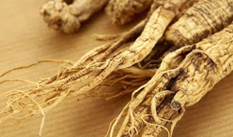 西洋參補氣滋陰，但有3類人不適合，千萬要注意！