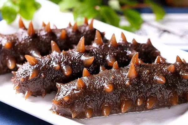  海參：海洋的瑰寶，健康的源泉