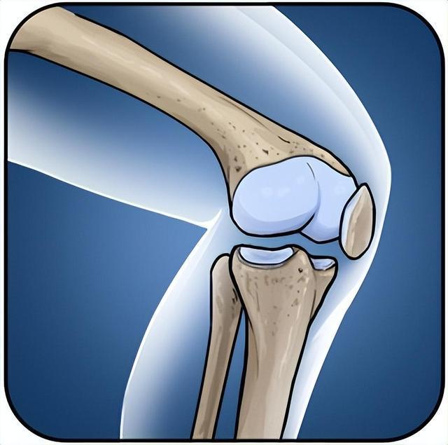 氨糖：給關節(jié)一份溫柔的呵護