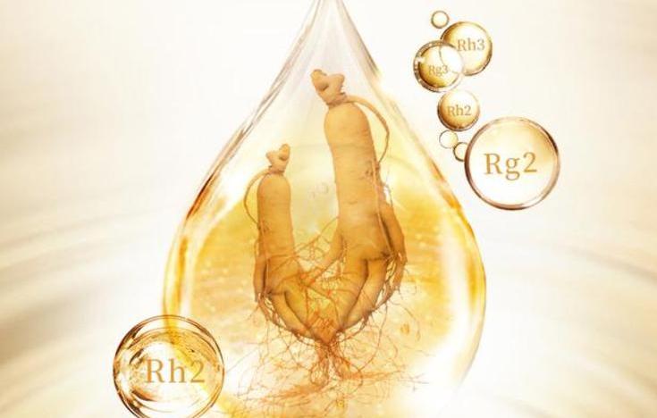 細(xì)說(shuō)人參皂苷：揭開(kāi)